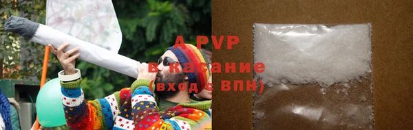 индика Абаза