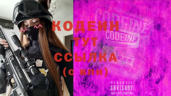 индика Абаза
