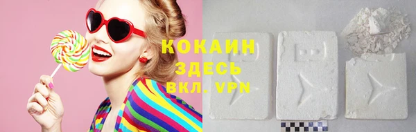 индика Абаза