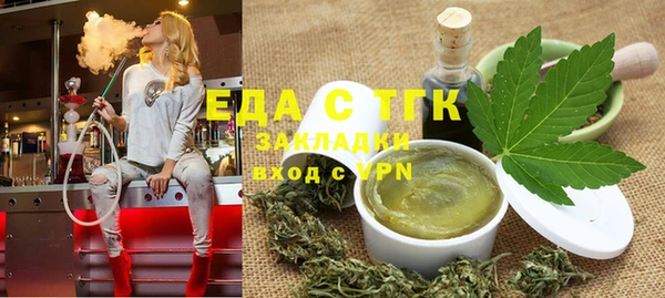 индика Абаза