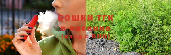индика Абаза