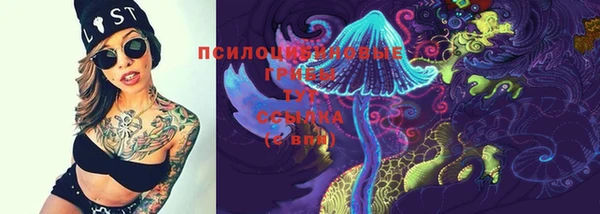 индика Абаза