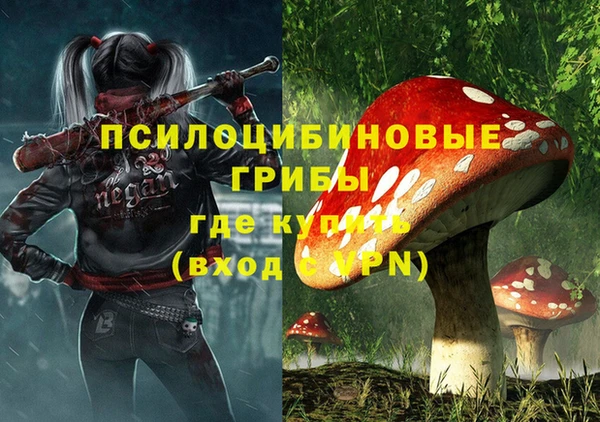 СК Абдулино